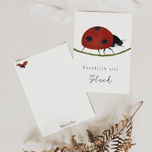 Postcard Happiness - Ladybug