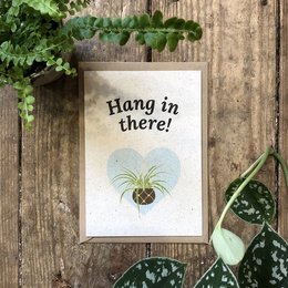 Colorful postcard with a hanging air plant and the text "Hang in there!" This birthday card features a whimsical design and a positive message, making it a thoughtful gift for any occasion.