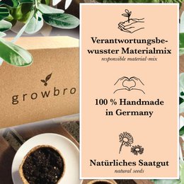 Bonsai - growbro - Kit de culture Wisteria avec cartes climatiques, cultivez votre propre bonsaï bro, cadeaux pour femmes et hommes, kit de démarrage bonsaï