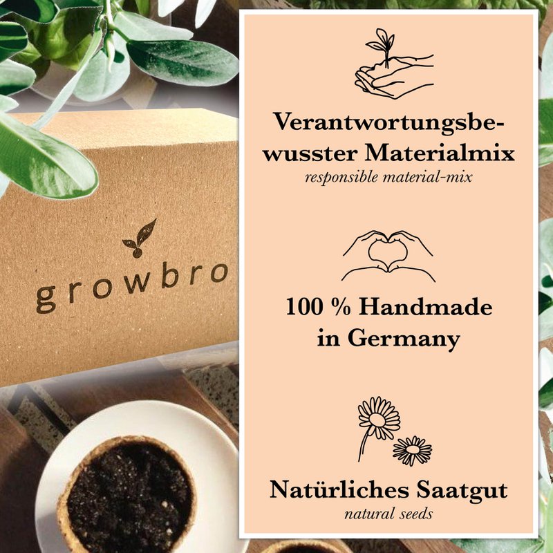 Bonsai - growbro - Kit de culture Wisteria avec cartes climatiques, cultivez votre propre bonsaï bro, cadeaux pour femmes et hommes, kit de démarrage bonsaï