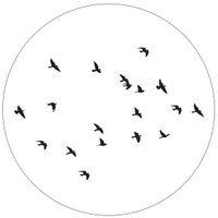 Muurcirkel birds wit