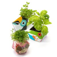 Urban Jungle Kit - Rainforest animals collection