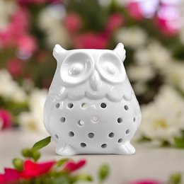 Ceramic owl-shaped oil burner in a modern, decorative design. Features perforated body for diffusing scented oils or waxes. Suitable for aromatherapy and home fragrance.