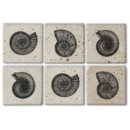  Set of 6 stone coasters featuring fossil ammonite shell designs in black and white. Durable, absorbent stone material. Suitable for use as trivets or decorative accents.