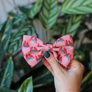 Vlinderdas - Santa Fe