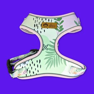 Pastelkleurig hondentuigje