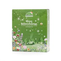 Stadtgärtner-Adventskalender 2026