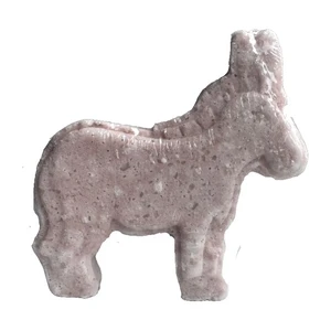 Bubbly donkey Jasmine and Vanilla