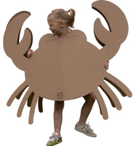 Krabbe gekleidetes Kostüm aus Pappe
