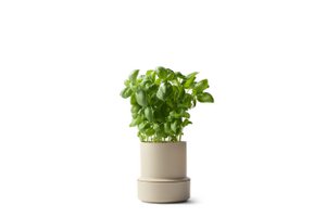 Billund / Selbstbewässerungstopf / Cumin