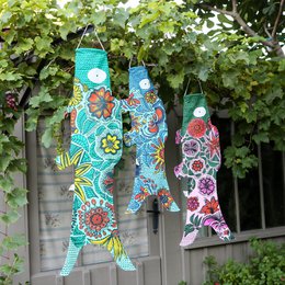 BLUE BLOSSOM KOINOBORI (KOI2.41/S)