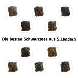 Tee smagesæt - Schwarzer Tee