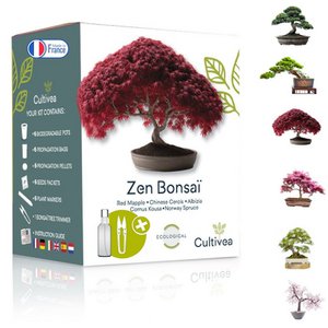 CULTIVEA® Ready to Grow Kit 6 Bonsai – 100 % ökologische französische Samen – Garten und Dekorieren – Weihnachtsgeschenkidee (Roter Ahorn, Chinesische Cercis, Juniperus, Liquidambar, Gemeine Fichte) – Hergestellt in Frankreich