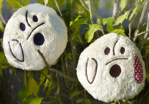 Biologisch feelgoodkussen voor honden: 8 stuks lavendel/dennen