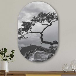 Oval wall art aluminum frame overhanging tree black white landscape nature minimalist modern decor