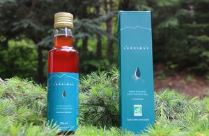 Organic Pyrenean Fir syrup 250 ml