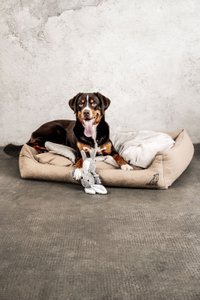 Dream-Duo Oatfield (beige / natur)