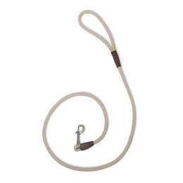 A simple, cotton dog leash with a sturdy metal clasp for attaching to a dog's collar.