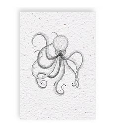 Octopus growth chart, a card with a hand-drawn sketch of an octopus.