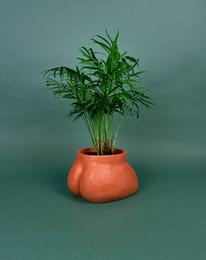 CACHE POT - GROßE BUMPER