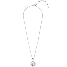 Pendentifs Zodiaque Verseau - Argenté et Cristal