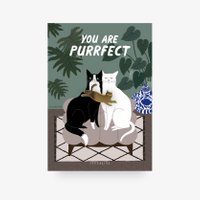 Pin / You Are Purrfect