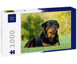 A 1000-piece puzzle featuring a Rottweiler dog in a grassy, outdoor setting. The puzzle is suitable for adults and children interested in dogs and puzzles.