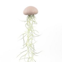 Luchtplantje hanger – zee-egel met tillandsia – roze – medium