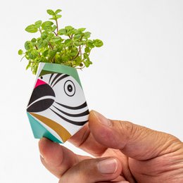 Urban Jungle Kit - Collectie regenwouddieren