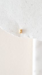  Small gold stud earrings, minimalist round shape, delicate jewelry for everyday wear