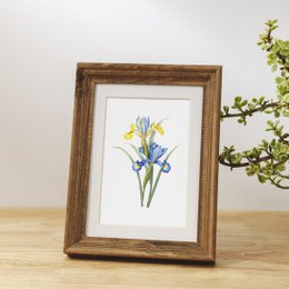 Botaniczny Art Print Mix x16 | Vintage ilustracja kwiat | Dekoracje ścienne