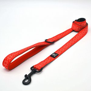 Hondenriem Northstar