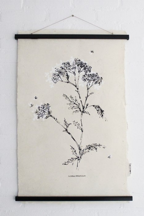 White flower Wall Art 50 x 70 cm