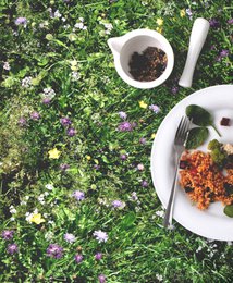 PRAI ALPIN - nappe