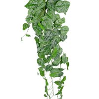 Art Hanging Plant Scindapsus 90 cm