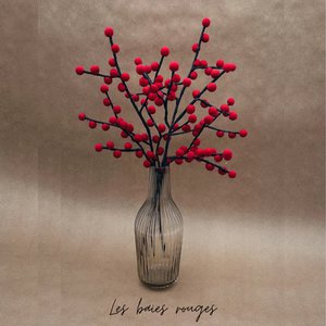 Set mit 3 Zweigen roter Beeren aus Filz – New Heidi