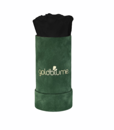 Colección Terciopelo Verde