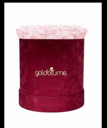 Velvet Bordeaux Collection
