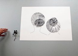 Søstre - serigrafi