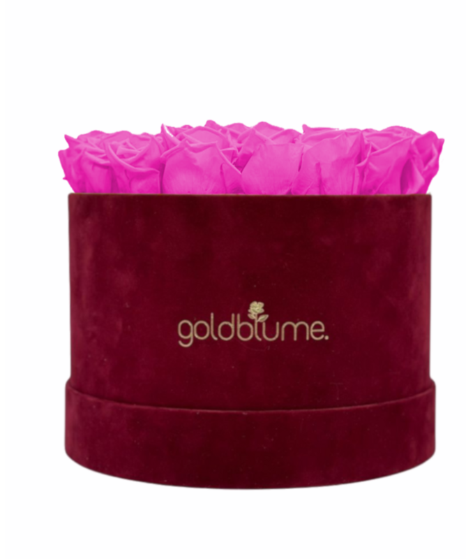 Velvet Bordeaux Collection