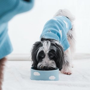 Cloud Pet Bowl 14cm 2 Pieces Set