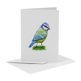 10 biglietti d'auguri con animali olandesi, busta inclusa - dipinti a mano da Mies to Go - cartolina - formato A6