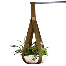 A round, brass pot with a hanging plant arrangement featuring various greenery and a small red flower.