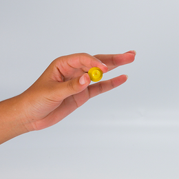 Capsule Graines de Moringa