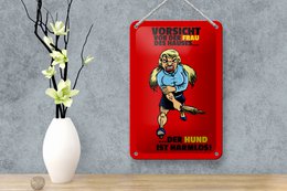 Tin sign note 12x18cm Beware of woman dog harmless decoration