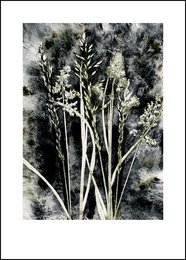 Large black and white abstract wall art with organic shapes and textures, suitable for modern or minimalist home decor.