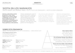 Candela profumata | Fragranza agrumata e floreale di campi di fiori d'arancio | Siesta en los Naranjos | 220gr
