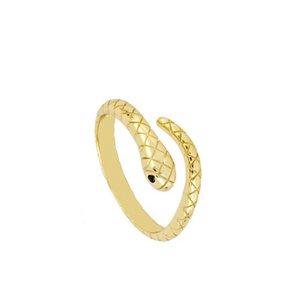 SLANG RING
