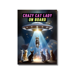 Sticker | Autoaufkleber - Crazy Cat Lady on board