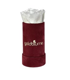 Velvet Bordeaux Collection